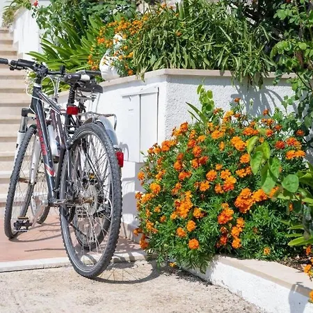 Family-friendly With Swimming Pool Vodovadja, Dubrovnik - 24632