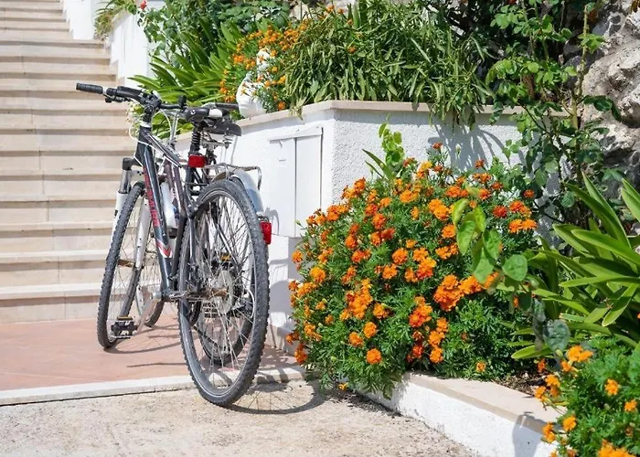 Family-friendly With Swimming Pool Vodovadja, Dubrovnik - 24632